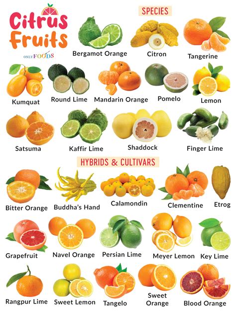 List of citrus fruits .